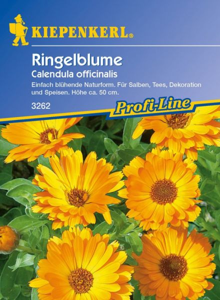 Kiepenkerl Ringelblume - Calendula officinalis
