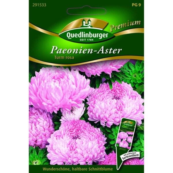 Quedlinburger Saatgut Paeonien-Aster Turm rosa - 291533