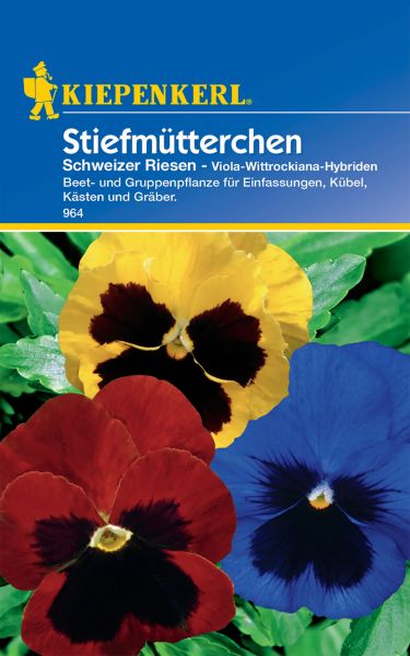 Kiepenkerl Stiefmütterchen Schweizer Riesen - Viola-Wittrockiana-Hybriden