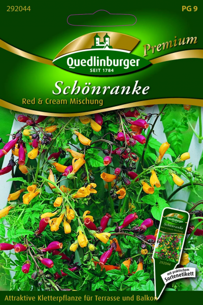 Quedlinburger Saatgut Schönranke Red & Cream Mischung - 292044
