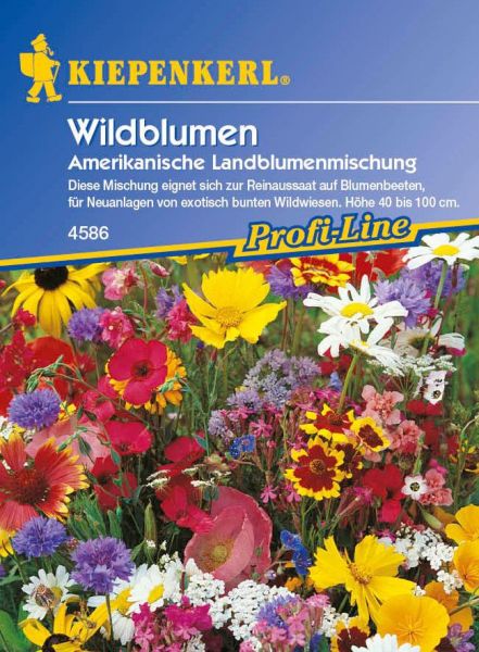 Kiepenkerl Amerikanische Landblumenmischung