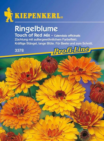 Kiepenkerl Ringelblume Touch of Red Mix - Calendula officinalis