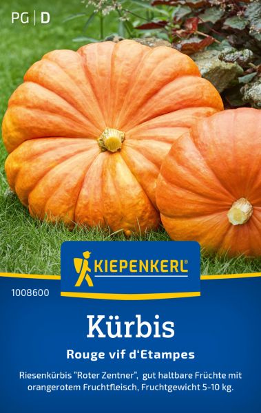 Kiepenkerl Kürbissamen Rouge vif d´Etampes