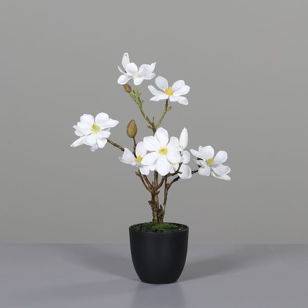 Magnolie Kunstpflanze Kunstblume Blume Zimmerpflanze im schwarzen Kunstofftopf 45cm cream