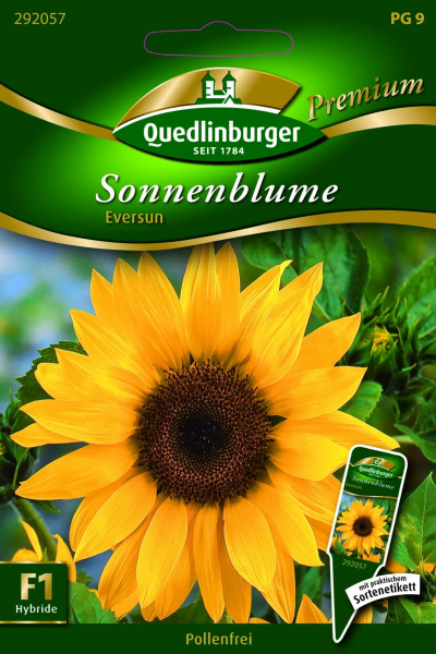 Quedlinburger Saatgut Sonnenblume Eversun - 292057