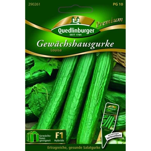 Quedlinburger Saatgut Gewächshausgurke Louisa Samen - 290261