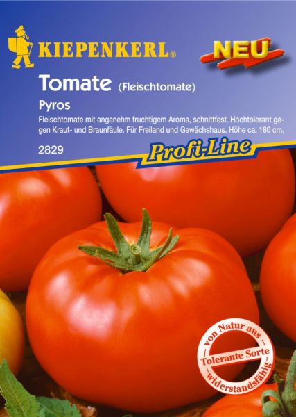 Kiepenkerl Tomate (Fleischtomate) Pyros