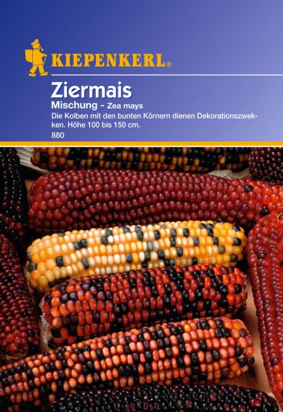 Kiepenkerl Ziermais - Mischung - Zea mays