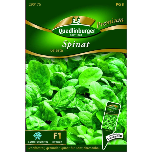 Quedlinburger Saatgut Spinat Celesta - 290176