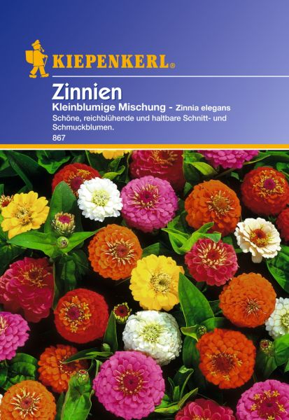 Kiepenkerl Zinnien Kleinblumige Mischung - Zinnia elegans