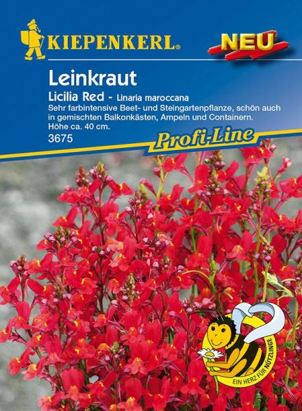 Kiepenkerl Leinkraut Licilia Red - Linaria maroccana