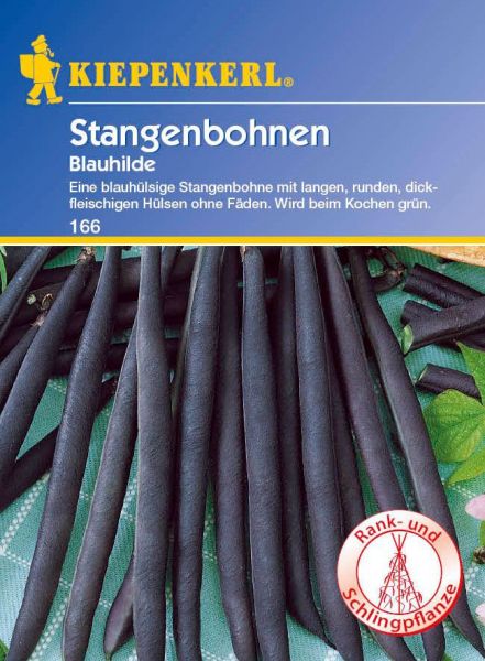 Kiepenkerl Stangenbohnen Blauhilde