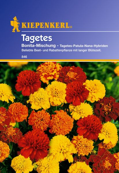 Kiepenkerl Tagetes Bonita-Mischung - Tagetes-Patula-Nana-Hybriden