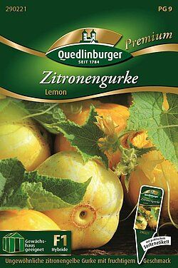 Quedlinburger Saatgut Zitronengurke Lemon Samen - 290221