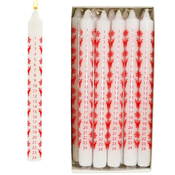 Sigro Adventskalenderkerze "Elch", weiß