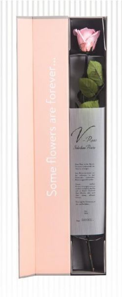 Trendline Haltbare pastell-pinke Rose in einer sehr eleganten Box (55 cm)