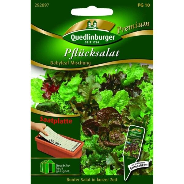 Quedlinburger Saatgut Pflücksalat Babyleaf Mischung - 292897