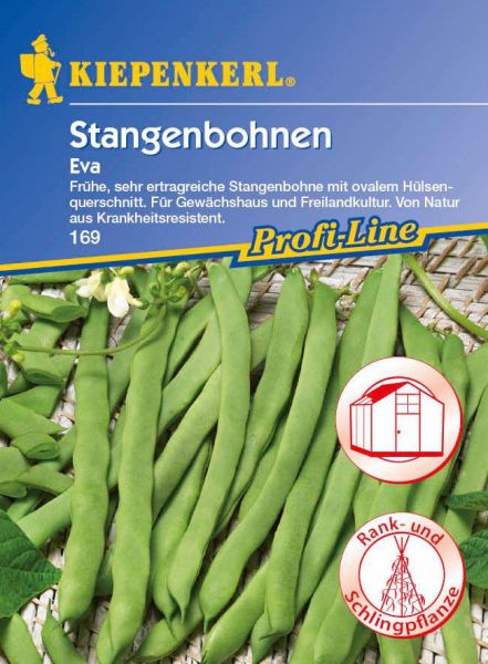 Kiepenkerl Stangenbohnen Eva