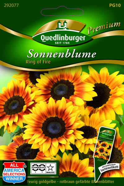 Quedlinburger Saatgut Sonnenblume Ring of Fire - 292077