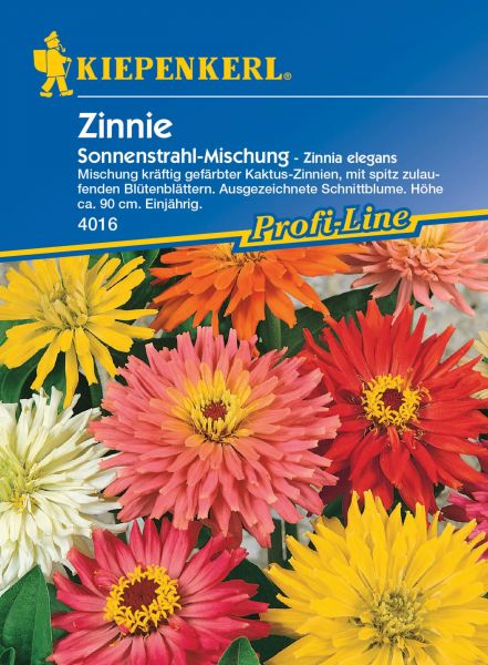 Kiepenkerl Zinnie - Sonnenstrahl-Mischung - Zinnia elegans