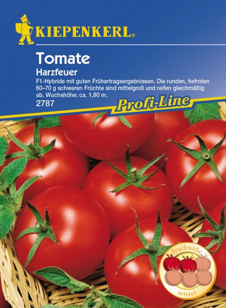 Kiepenkerl Tomate Harzfeuer