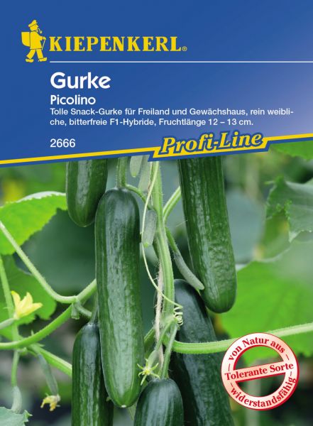 Kiepenkerl Gurke Picolino