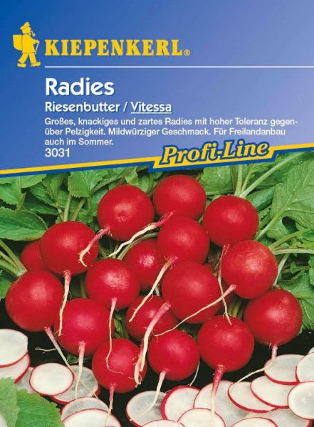 Kiepenkerl Radies Riesenbutter / Vitessa