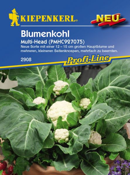 Kiepenkerl Blumenkohl Multi-Head (PMHC927075)