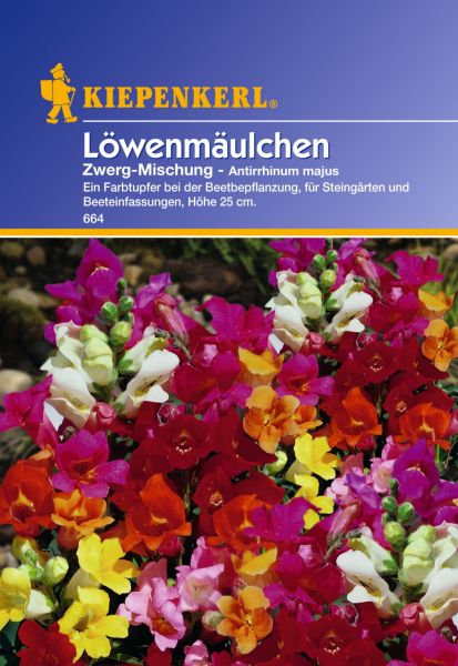 Kiepenkerl Löwenmäulchen Zwerg-Mischung- Antirrhinum majus