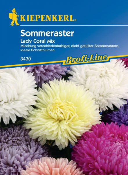 Kiepenkerl Sommeraster - Lady Coral Mix
