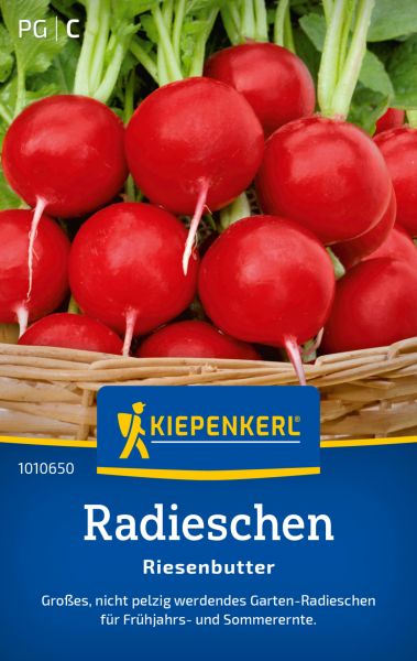 Kiepenkerl Radieschensamen Riesenbutter