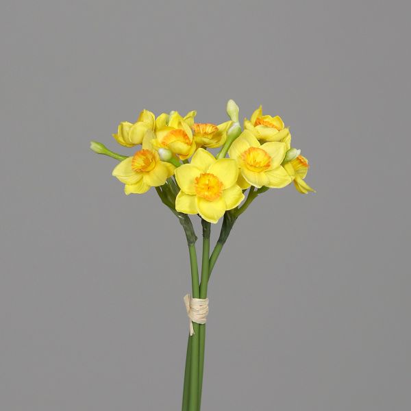 Narzissen Bund yellow