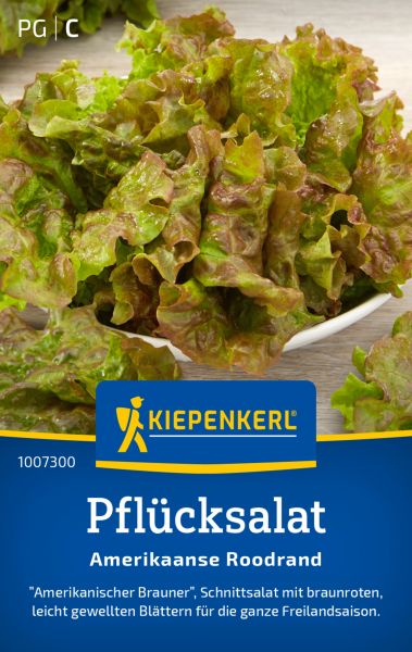 Kiepenkerl Plücksalatsamen Amerikaanse Roodrand