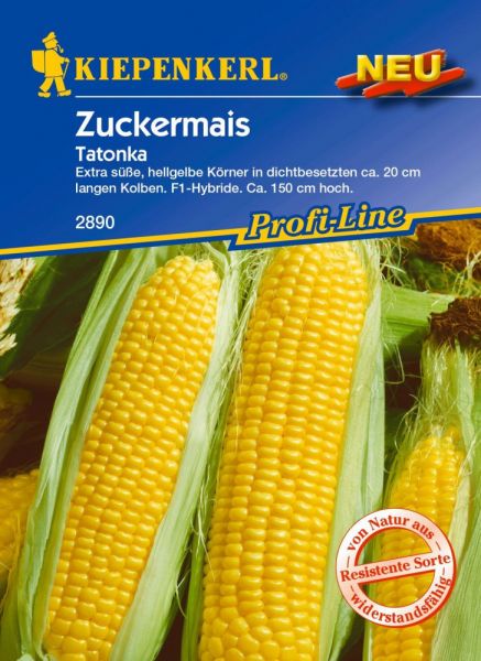 Kiepenkerl Zuckermais Tatonka