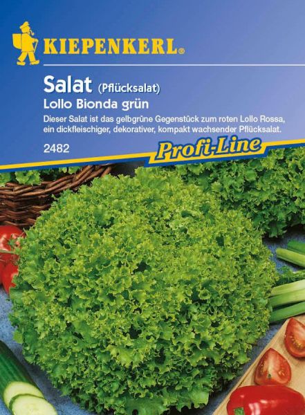 Kiepenkerl Salat (Pflücksalat) Lollo Bionda grün