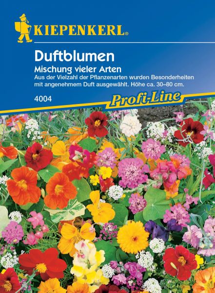 Kiepenkerl Duftblumen Mischung vieler Arten