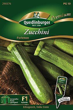 Quedlinburger Saatgut Zucchini Partenon Samen - 290376