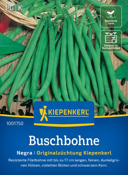 Kiepenkerl Buschbohnensamen Negra