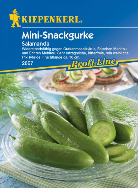 Kiepenkerl Mini-Snackgurke Salamanda