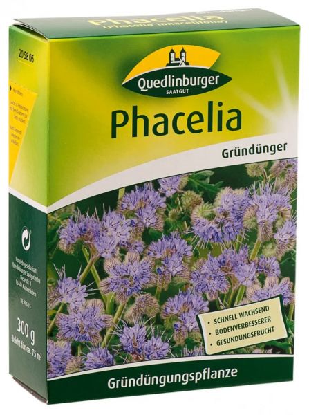 Phacelia 300 g Phaceliasamen von Quedlinburger