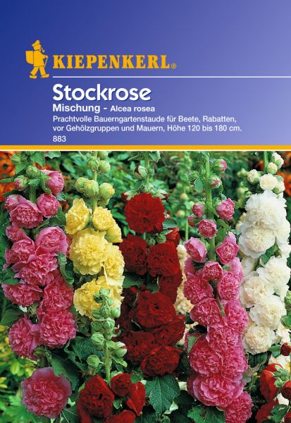 Stockrose Mischung - Alcea rosea