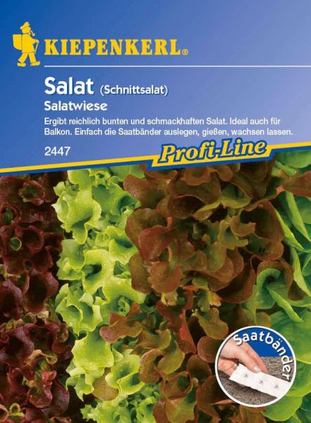 Kiepenkerl Salat (Schnittsalat) Babyleaf-Salatwiese - Saatband
