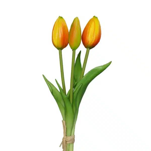 Tulpenbund x 3, 24 cm, orange-yellow
