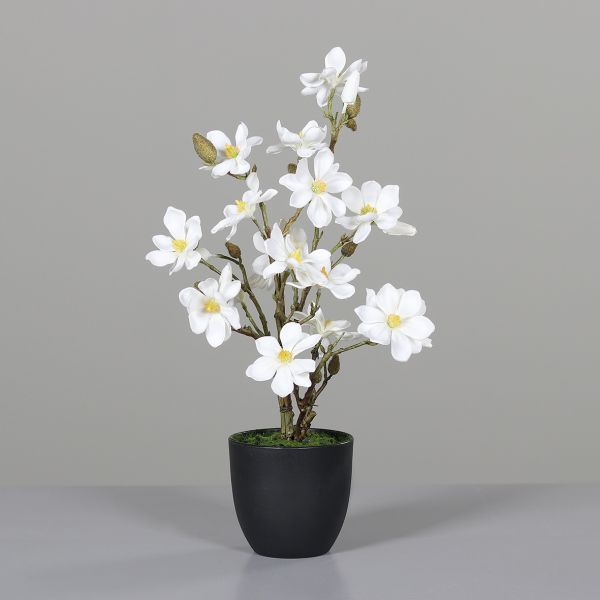 Magnolie Kunstpflanze Kunstblume Blume Zimmerpflanze im schwarzen Kunstofftopf 55cm cream
