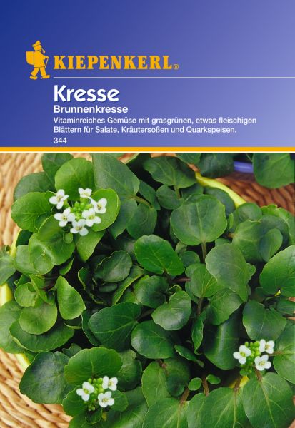 Kiepenkerl Kresse Brunnenkresse