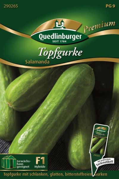 Quedlinburger Saatgut Topfgurke Salamanda Samen - 290265