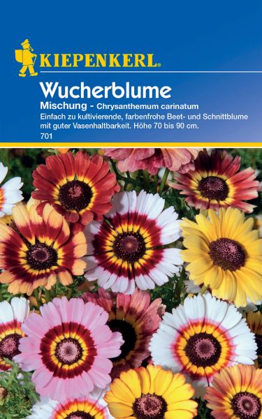 Kiepenkerl Wucherblume Mischung - Chrysanthemum carinatum