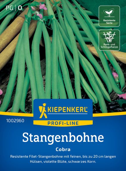 Kiepenkerl Stangenbohnensamen Cobra