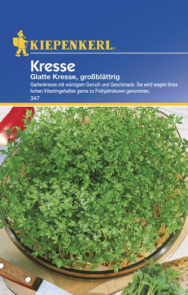 Kiepenkerl Kresse Glatte Kresse, großblättrig
