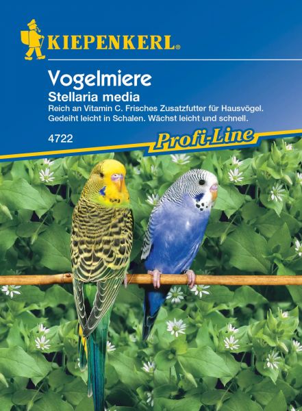 Kiepenkerl Vogelmiere - Stellaria media